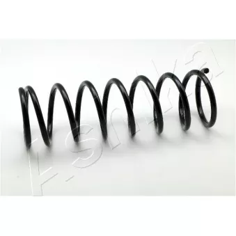 Ressort de suspension ASHIKA OEM 1041537