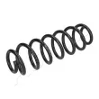 Ressort de suspension ASHIKA [ZCA5118A]