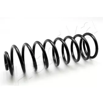 Ressort de suspension ASHIKA OEM 1212427