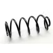 Ressort de suspension ASHIKA [ZCA5151H]