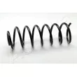 ASHIKA ZCA5210C - Ressort de suspension