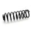 Ressort de suspension ASHIKA [ZCA5213G]