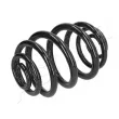 ASHIKA ZCA5256J - Ressort de suspension