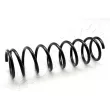 Ressort de suspension ASHIKA [ZCA5320A]
