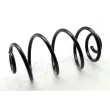 ASHIKA ZCA5418X - Ressort de suspension