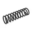 ASHIKA ZCA5484A - Ressort de suspension