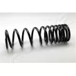 ASHIKA ZCA5504D - Ressort de suspension