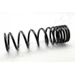 ASHIKA ZCA5506A - Ressort de suspension