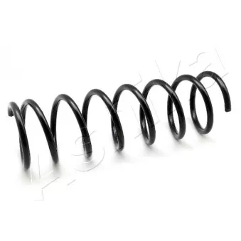 Ressort de suspension ASHIKA OEM N06628011A