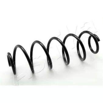 Ressort de suspension ASHIKA OEM 5102G4