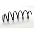 ASHIKA ZCA6069H - Ressort de suspension