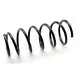Ressort de suspension ASHIKA [ZCA6122A]