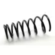 Ressort de suspension ASHIKA [ZCA6123I]