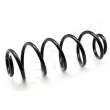 Ressort de suspension ASHIKA [ZCA6141A]