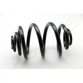 Ressort de suspension ASHIKA OEM 1094740