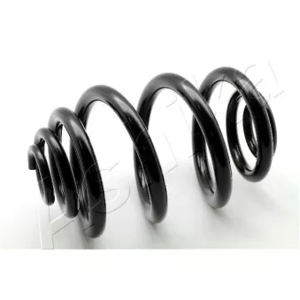 Ressort de suspension ASHIKA OEM 1094740