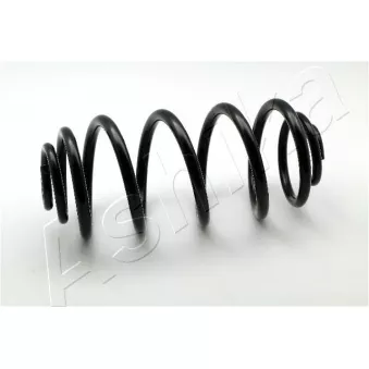 Ressort de suspension ASHIKA OEM 424071