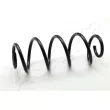 Ressort de suspension ASHIKA [ZCA6252A]