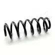 ASHIKA ZCA6434H - Ressort de suspension