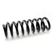 Ressort de suspension ASHIKA [ZCA6486A]
