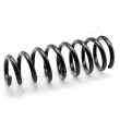 Ressort de suspension ASHIKA [ZCA6502I]