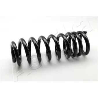 Ressort de suspension ASHIKA OEM 1643240304