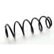 ASHIKA ZCA6612H - Ressort de suspension