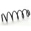 ASHIKA ZCA6613H - Ressort de suspension