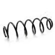 ASHIKA ZCA6620H - Ressort de suspension