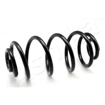 Ressort de suspension ASHIKA OEM 12795566