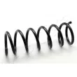 Ressort de suspension ASHIKA [ZCA7138A]