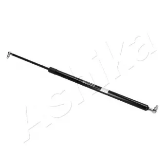 Vérin de hayon, de coffre ASHIKA ZSA10048