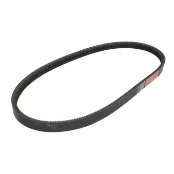 Courroie trapézoïdale composite LEMA 2XPB2500L
