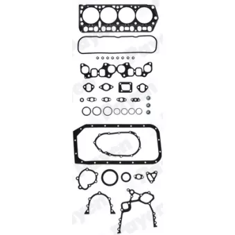 Pochette moteur complète PAYEN OEM J0411273043