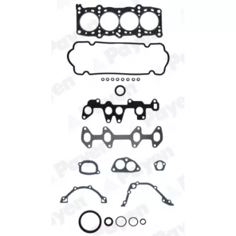 Pochette moteur complète PAYEN OEM 5893660