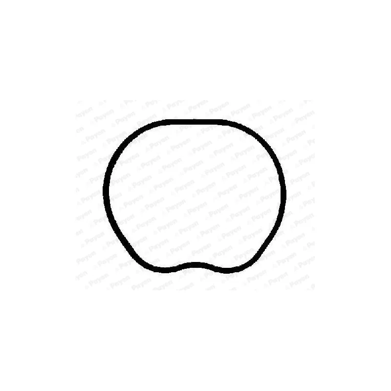 Joint d'étanchéité, collecteur d'admission PAYEN JD6166 - Visuel 1