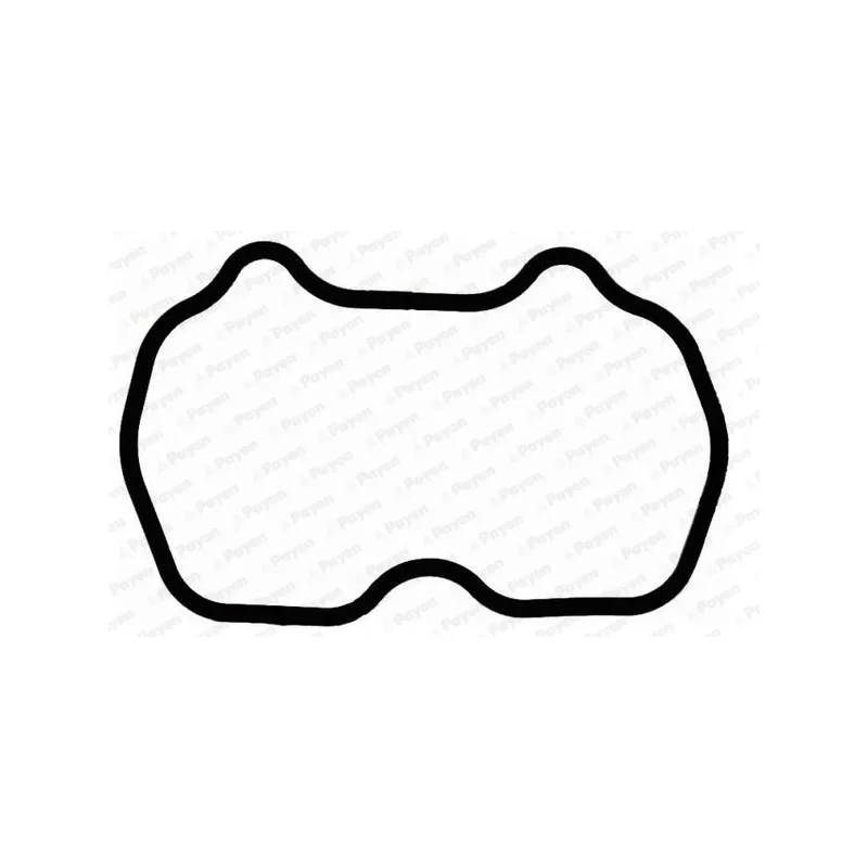 Joint de cache culbuteurs PAYEN JM7162 - Visuel 1