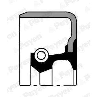 PAYEN NJ867 - Bague d'étanchéité, moyeu de roue