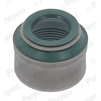 Bague d'étanchéité, tige de soupape PAYEN PA6119 pour SCANIA 4 - series 94 D/230 - 230cv