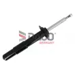 DACO Germany 450301R - Amortisseur avant droit