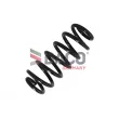 DACO Germany 800241 - Ressort de suspension
