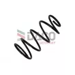 Ressort de suspension DACO Germany [801025]