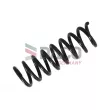 DACO Germany 802307 - Ressort de suspension