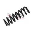 Ressort de suspension DACO Germany [812306]