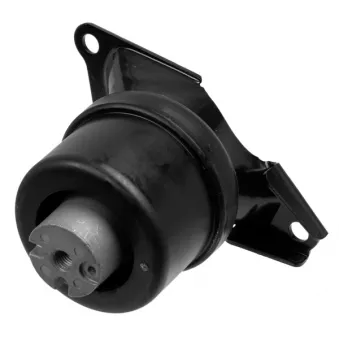 Support moteur LEMFORDER 35447 01