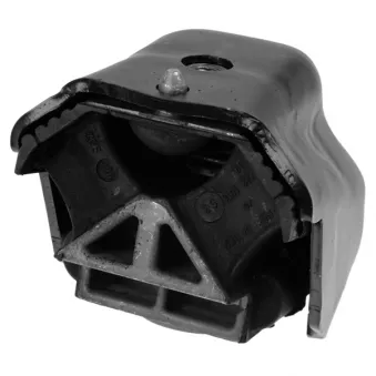 Support moteur LEMFORDER 35800 01