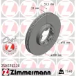 ZIMMERMANN 250.5702.20 - Jeu de 2 disques de frein arrière