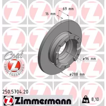 Jeu de 2 disques de frein arrière ZIMMERMANN 250.5704.20