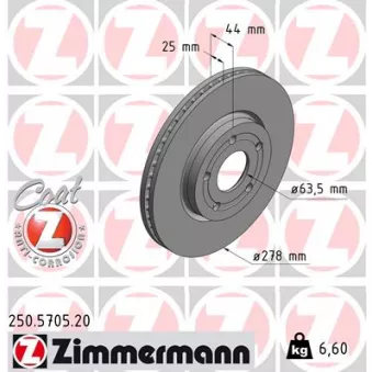 ZIMMERMANN 250.5705.20 - Jeu de 2 disques de frein arrière