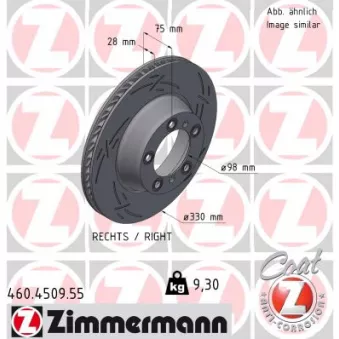 ZIMMERMANN 460.4509.55 - Jeu de 2 disques de frein arrière